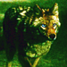 6x1 Memory Lost - teen-wolf icon