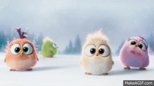 Angry Birds Movie GIF