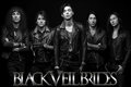 Black Veil Brides - andy-sixx photo