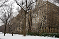 Central Park, New York in Winter - new-york photo