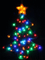 Christmas Tree. - random photo