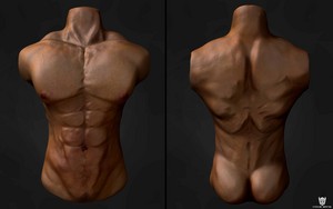  Final Render Renders View texturing Anatomy of a man سے طرف کی Yacine BRINIS