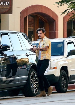  Harry in LA recently