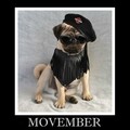 Movember Pug - dogs photo