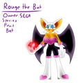 Rouge - rouge-the-cool-bat photo