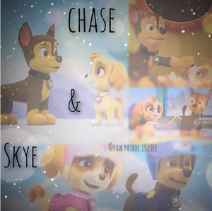  Skye x Chase pics