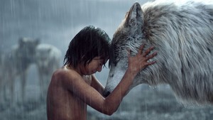 The Jungle Book Movie Wallpapers  