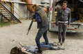 The Walking Dead - Episode 7.07 - Sing Me a Song - the-walking-dead photo