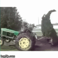 Tree Vs Tractor Driver. - random photo