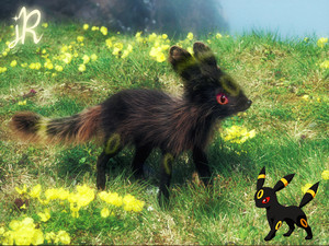  real Umbreon