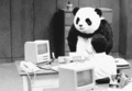 you'r fired panda - random photo