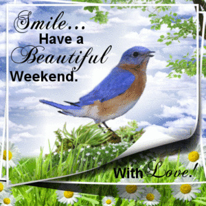  Have A Beautiful Weekend Sharon