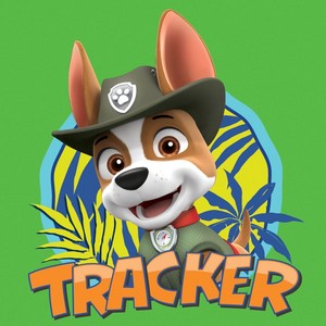  Tracker, the チワワ