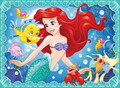 Walt Disney Images - Flounder, Princess Ariel & Sebastian - disney-princess photo