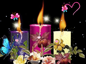  Candles and bunga