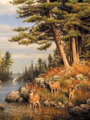  Deer and Pines - Hautman Brothers