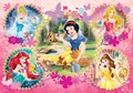 Disney Princesses - disney-princess photo