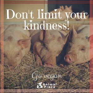 Don't Limit Your Kindness