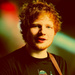 Ed Sheeran - fred-and-hermie icon