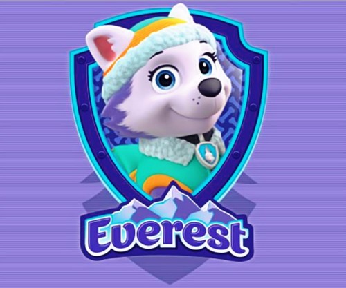 Everest-paw-patrol-40177275-500-417.jpg