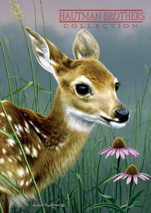  fawn and Flowers - Hautman Brothers