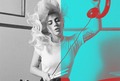 Lady Gaga Tumblr - lady-gaga photo