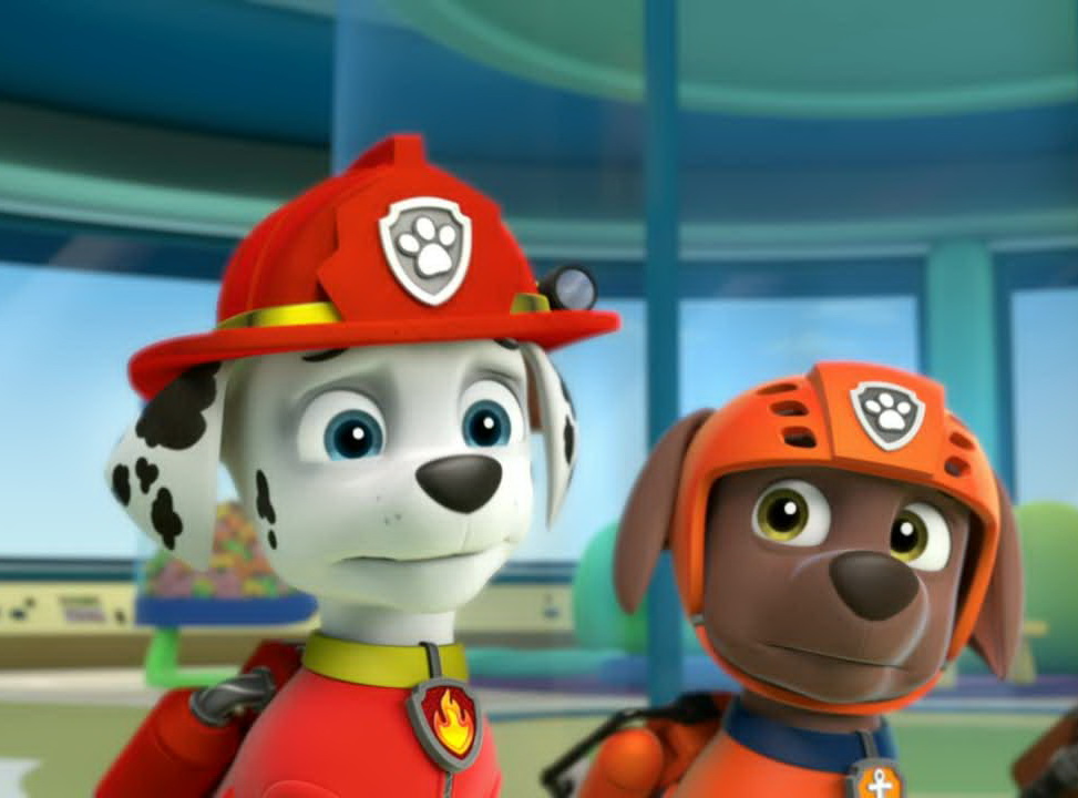 Photo of Marshall for fans of Marshall - PAW Patrol. 