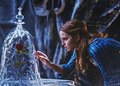 New picture of Beauty and the Beast - emma-watson photo