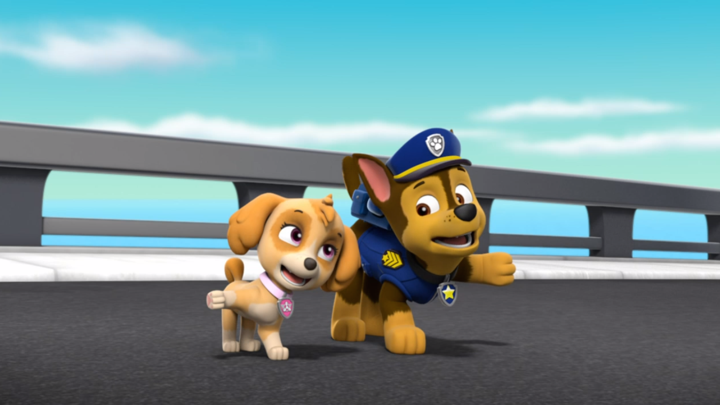 PAW Patrol Photo: Skye and Chase.