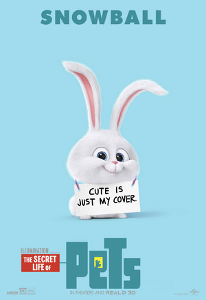 The Secret Life Of Pets Character Poster