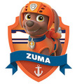 Zuma, The Labrador - paw-patrol photo