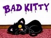  bad kitty