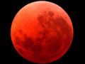 blood moon - moon photo