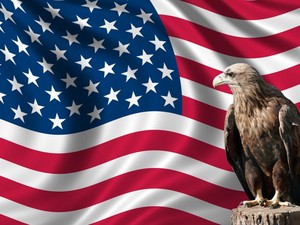  eagle in front of the american flag