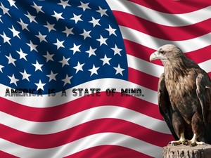  eagle in front of the american flagsadfasd