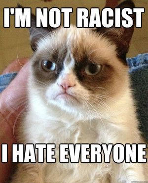 funny grumpy cat hates everyone