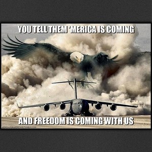  merica eagle freedom plane