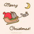 merry Christmas  - pusheen-the-cat photo