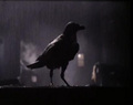 the crow movie pictures - the-crow photo