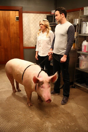  4.04 - Young and Piggy