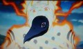 Bird puking - anime photo