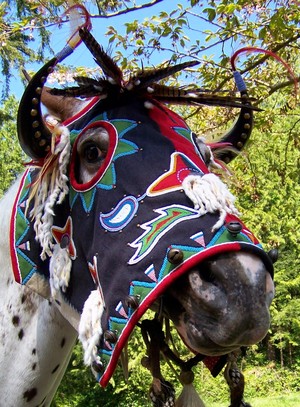  Cayuse Horse Mask