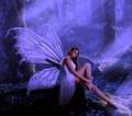 Fairy Beautiful  - fairies photo