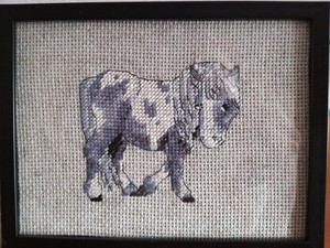  Horse (pony)