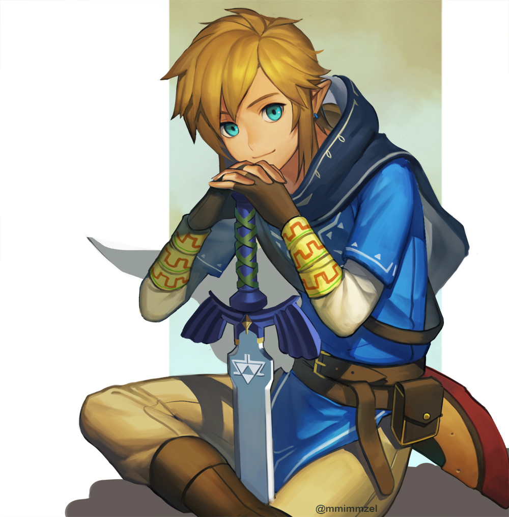Link - The Legend of Zelda Fan Art (40285627) - Fanpop