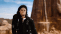Michael Jackson - thecountess photo
