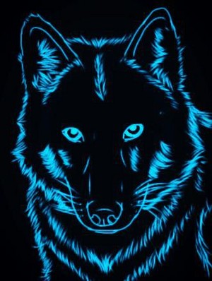 Neon Wolf - Wolves Fan Art (40219217) - Fanpop