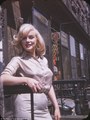 Never-before-seen pictures of MM - marilyn-monroe photo