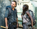 Rick and Michonne - the-walking-dead photo