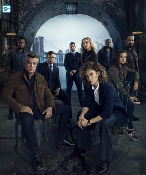  Shades of Blue - Season 2 Cast Portrait